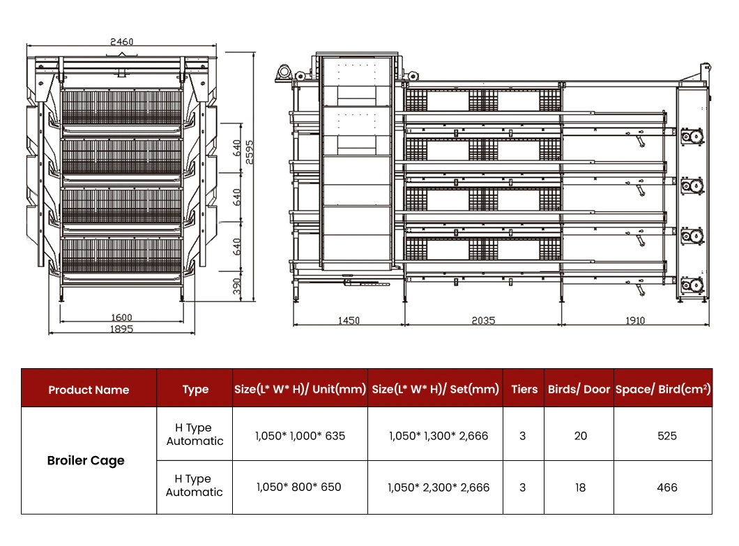 Bestchickencage China Chicken Coop House Supplier H Frame Automatic Boriler Cages OEM Custom Wood Material Hen Crate